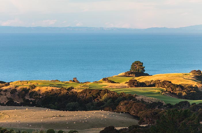 <strong>CAPE KIDNAPPERS<span><b>view larger</b></span></strong><i>→</i>